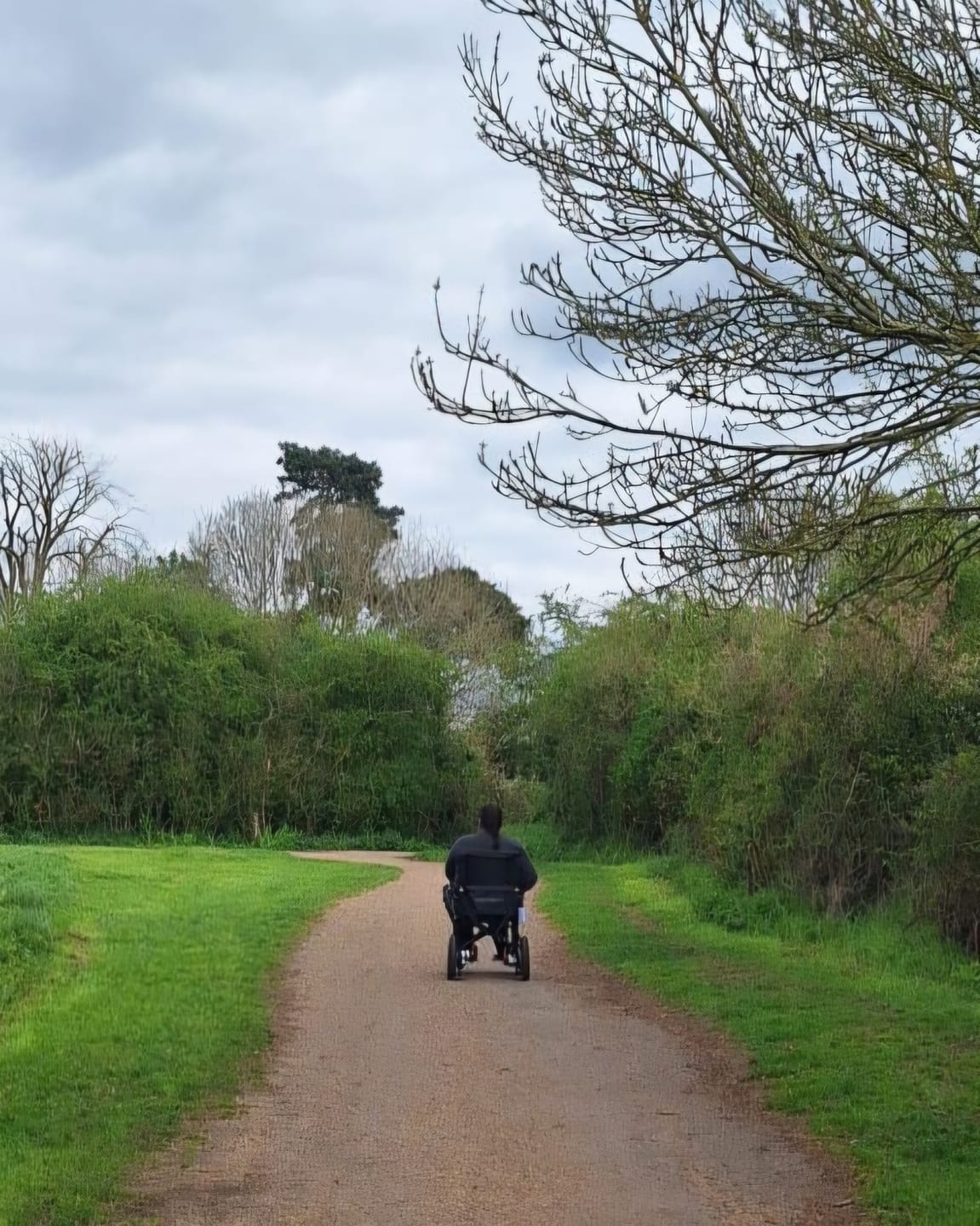 Customer photo review of Ultra Lightweight Electric Wheelchair Heavy Duty Motors | LitePro 2