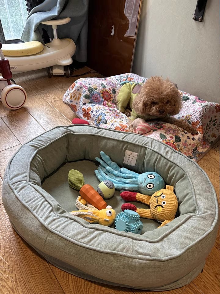 Customer photo review of Ocean Snuffle & Squeaky Plush Enrichment Toy – Available as Single or Set