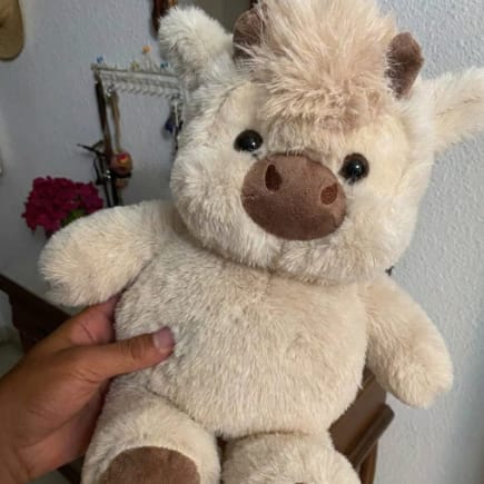 Customer photo review of MooMoo – La Vaquita Peluche que Corre
