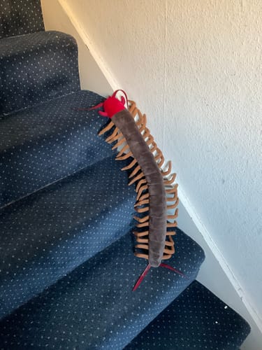 Customer photo review of Chinese Red-Headed Centipede Stuffed Plush Toy