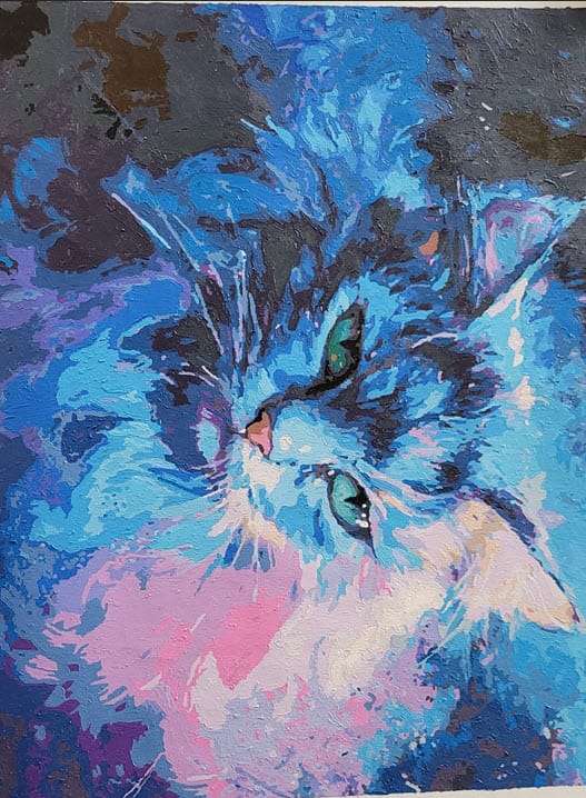 Customer photo review of Cosmic Cat