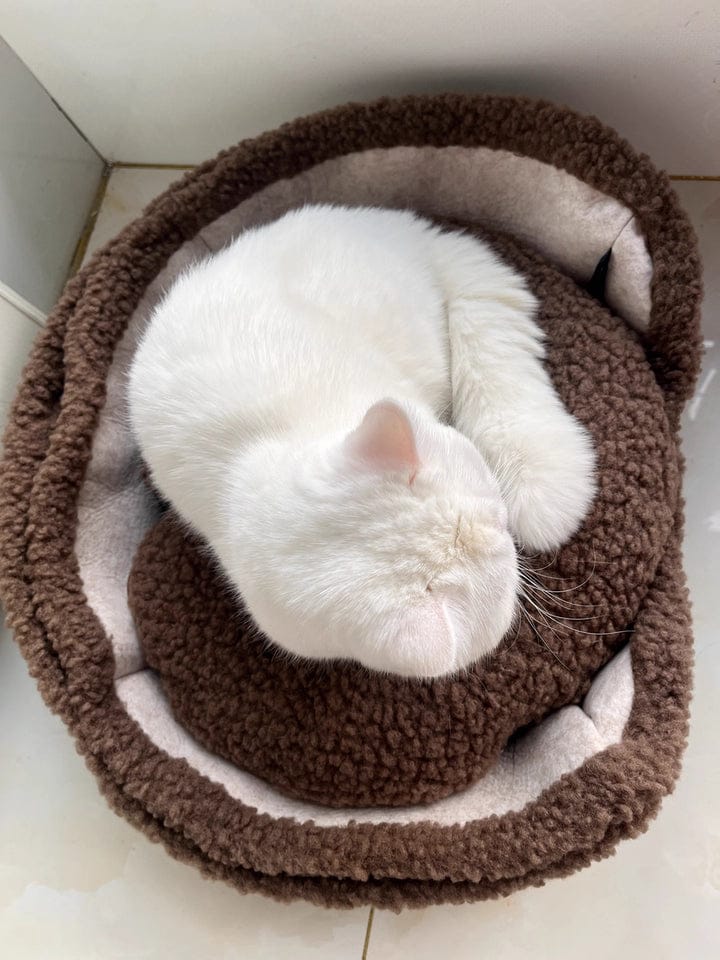 Customer photo review of Semi-Enclosed Dual-Mode Shell Cat Bed