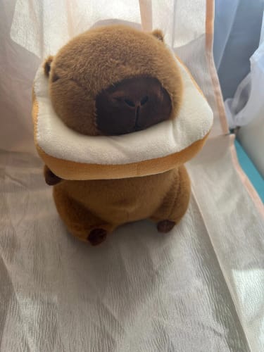 Customer photo review of Capybara Bread & Flower Plush Toy