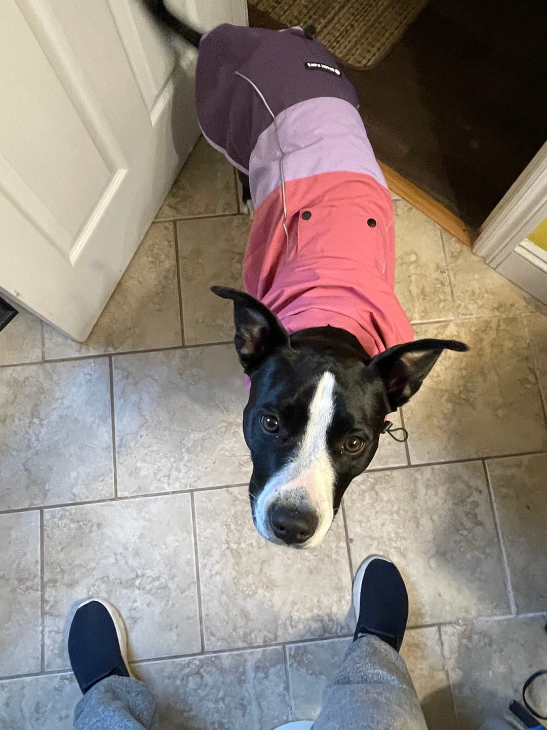 Customer photo review of Fuchsia Camo Human Hoodie