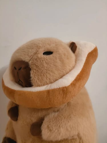 Customer photo review of Capybara Bread & Flower Plush Toy