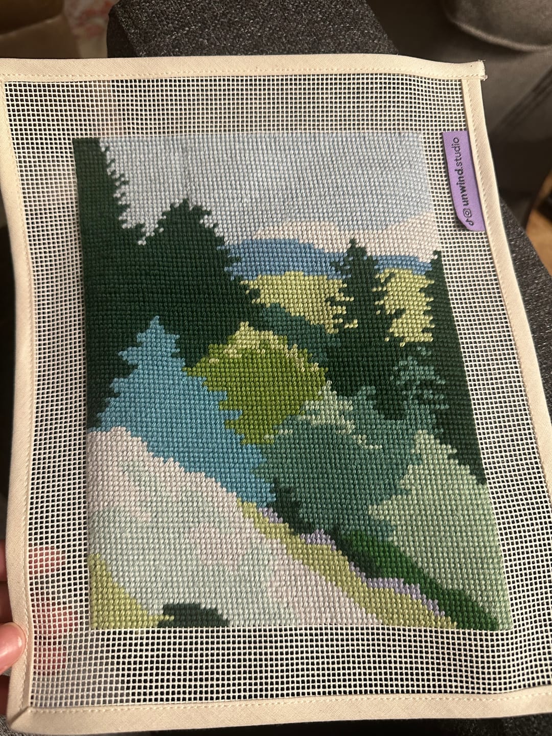 Customer photo review of Mountain Spring Needlepoint Kit