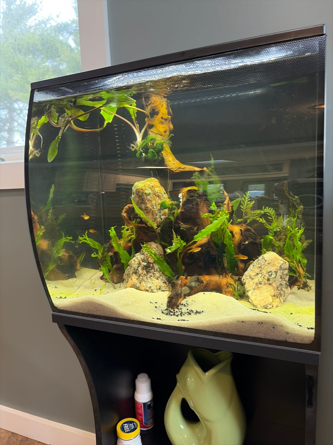Customer photo review of Fluval Flex 2.0 Aquarium Kit Black