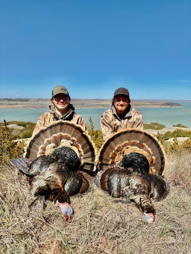 Customer photo review of MAGA Broadheads