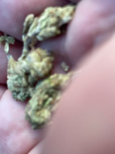 Customer photo review of Double D | THCA Flower Smalls
