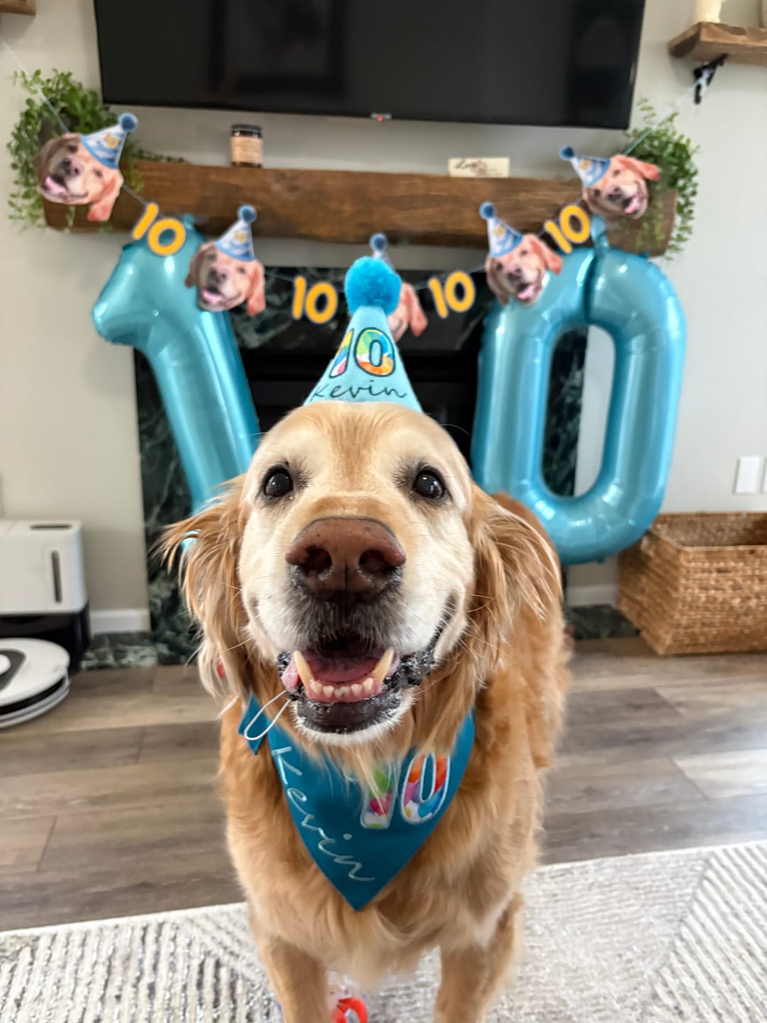 Customer photo review of Standard Personalized Dog Party Pack