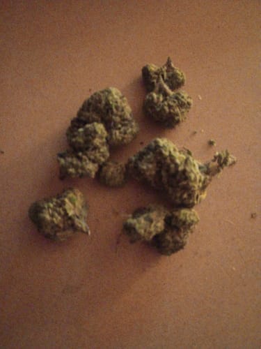 Customer photo review of Alien OG - 4 Grams - Indica