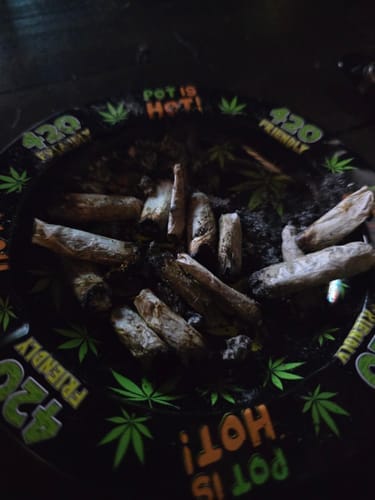 Customer photo review of Garlic Cookies Indoor Littles - Bulk Littles - Indica