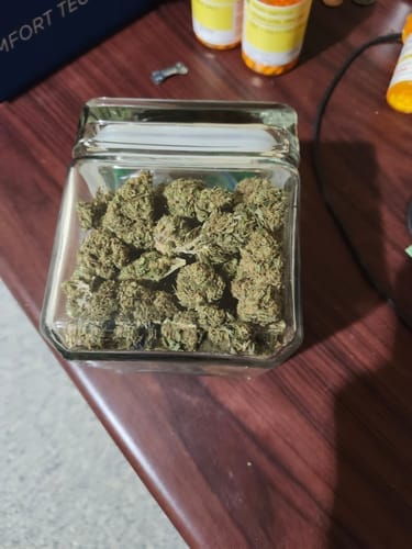 Customer photo review of Maui Wowie - Bulk - Sativa