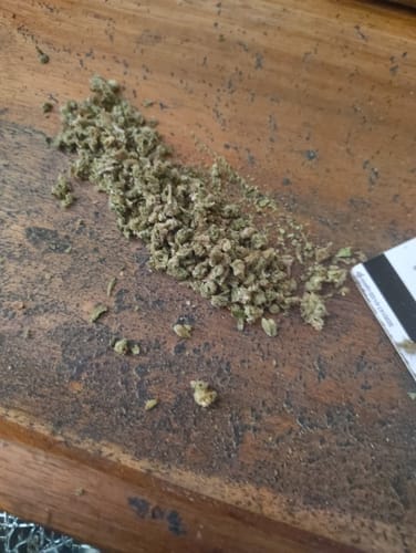 Customer photo review of Caramel Apple - Bulk - Hybrid