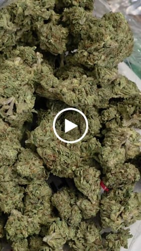 Customer photo review of GMO - Bulk - Indica