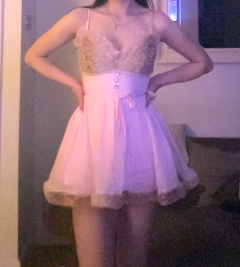 Customer photo review of Bambi Princess Fur Chiffon Dress (Pink)