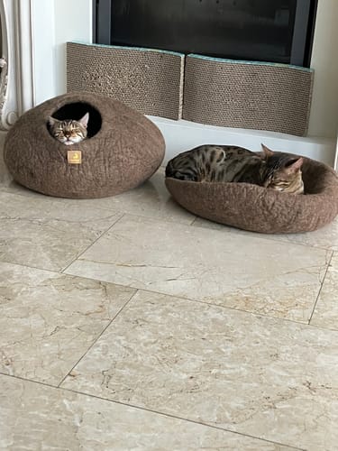 Customer photo review of WoolNest Premium