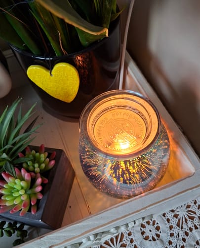 Customer photo review of $2 DAMAGED MYTERY WAX MELTS