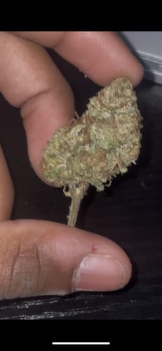 Customer photo review of Blueberry Muffin THCA Flower
