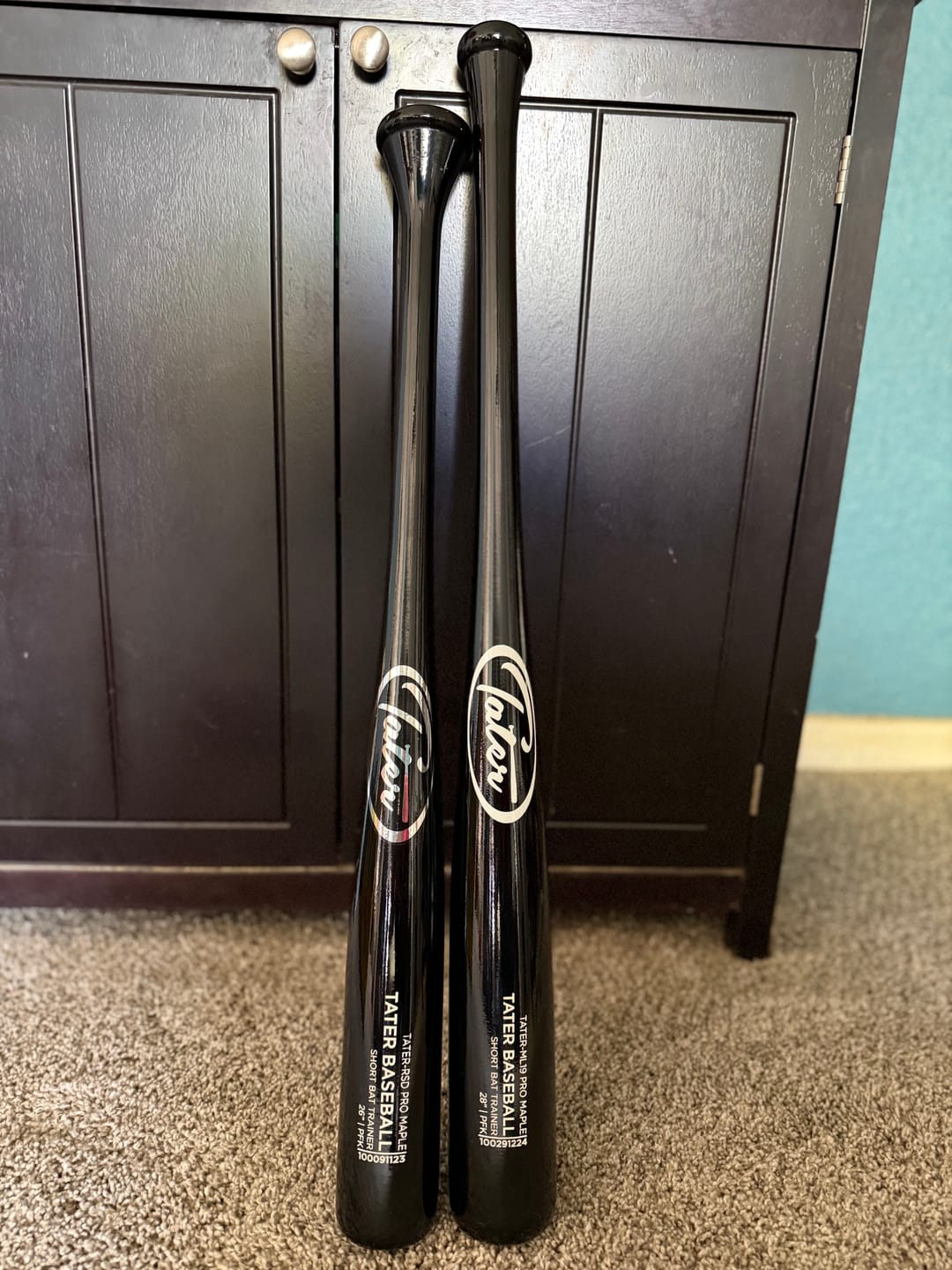 Customer photo review of TATER-RSD (One-Hand Short Bat Trainer)