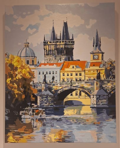 Customer photo review of Paint Your Photo