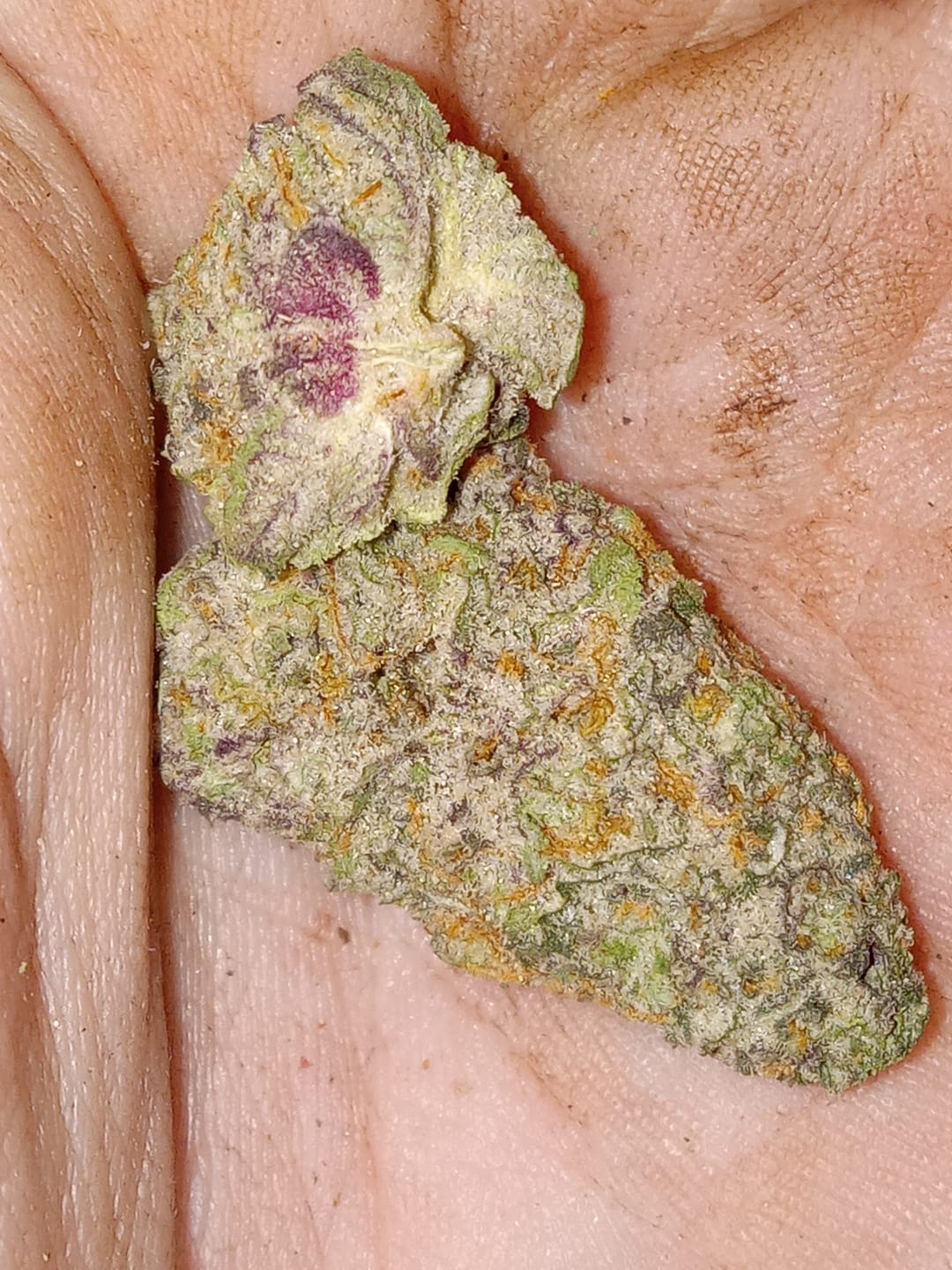 Customer photo review of Dealer's Choice