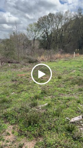 Customer video review of Tree Pro Grow Tubes