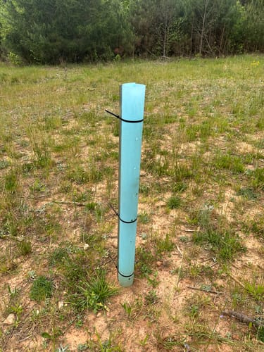 Customer photo review of Whitetail Hill Deer Pear™