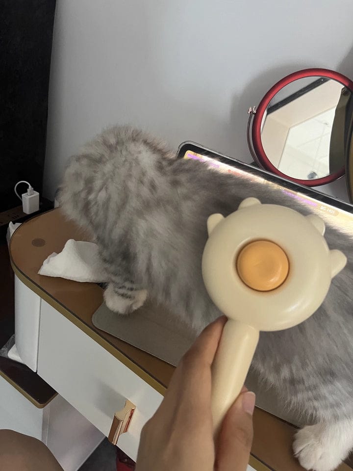 Customer photo review of Cat Grooming Brush with Release Button