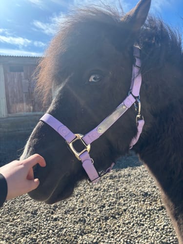 Customer photo review of Personalized Halter
