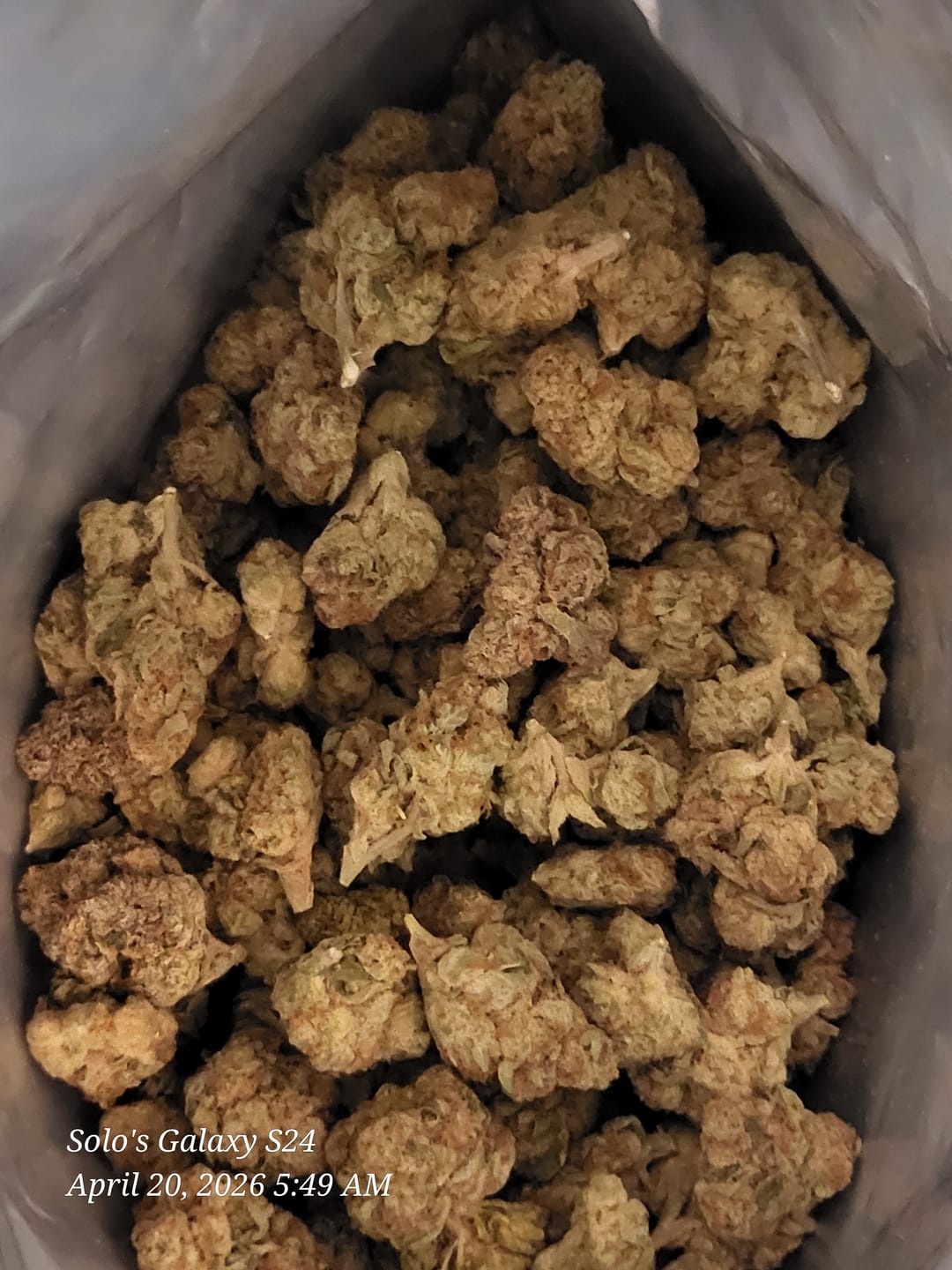 Customer photo review of Purple Punch - Bulk - Indica