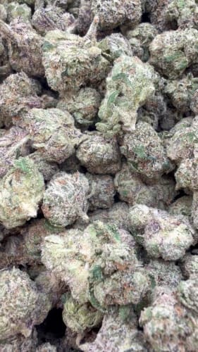 Customer photo review of Caramel Apple - Bulk - Hybrid