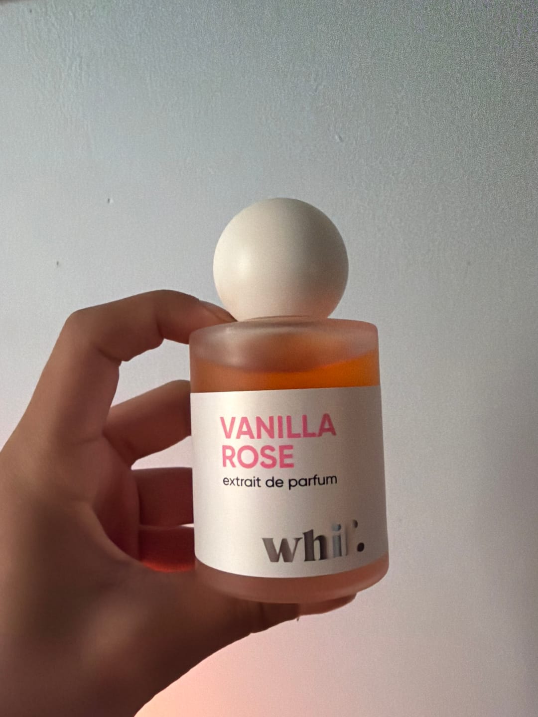 Customer photo review of Vanilla Rose