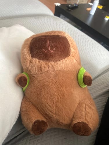 Customer photo review of Capybara Plush With Turtle Backpack