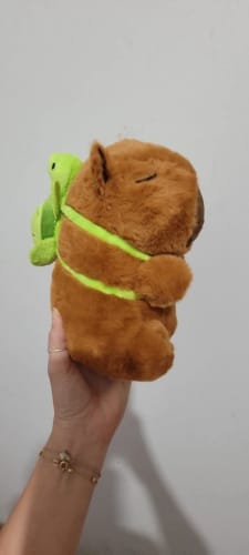 Customer photo review of Capybara Plush With Turtle Backpack