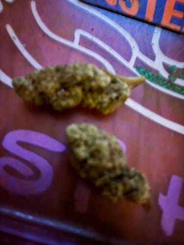 Customer photo review of Cheap THCA Smalls Quarter Pound