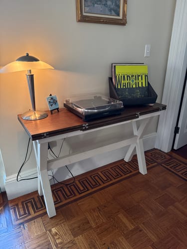 Customer photo review of Record Roots Tabletop Storage System