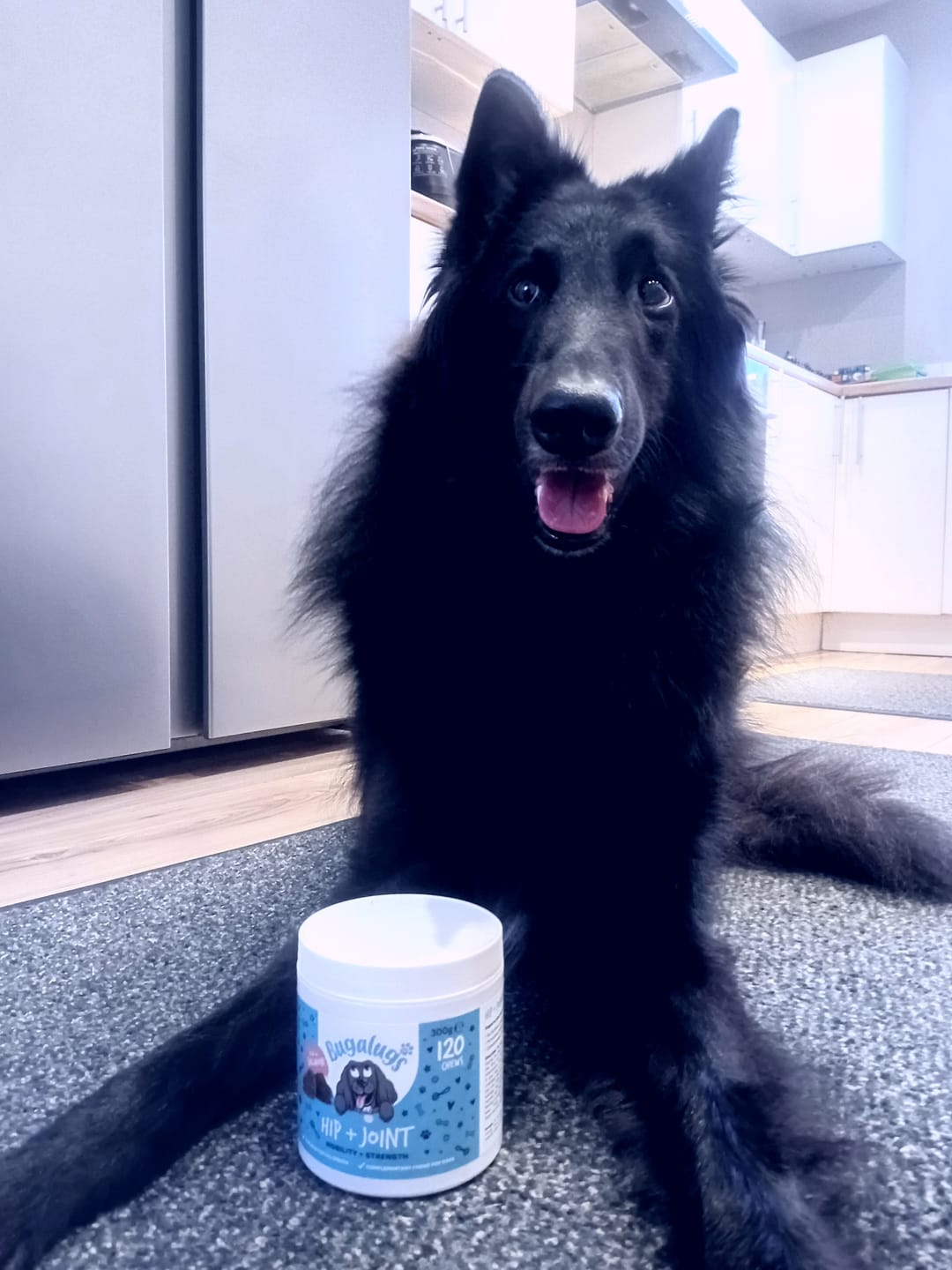 Customer photo review of Hip & Joint Care Supplement Chews for Dogs