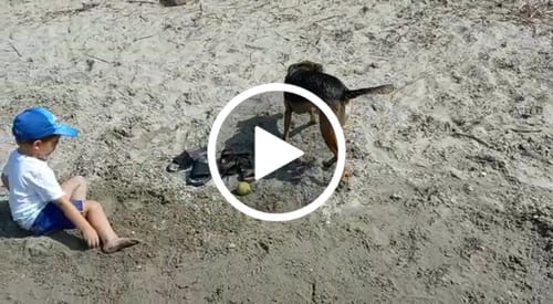 Customer video review of Easy Squeezy