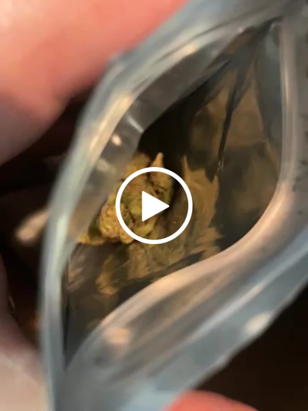 Customer video review of Jealousy - THCa Flower