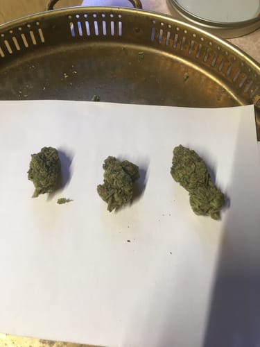 Customer photo review of Jack Herer Flower