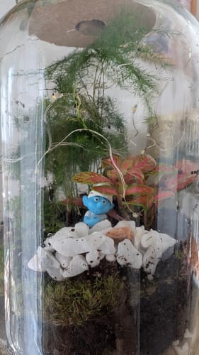 Kundenbewertung: Ein mit dem Substrat-Set erstellter Flaschengarten, dekoriert mit Pflanzen und einer Schlumpf-Figur.