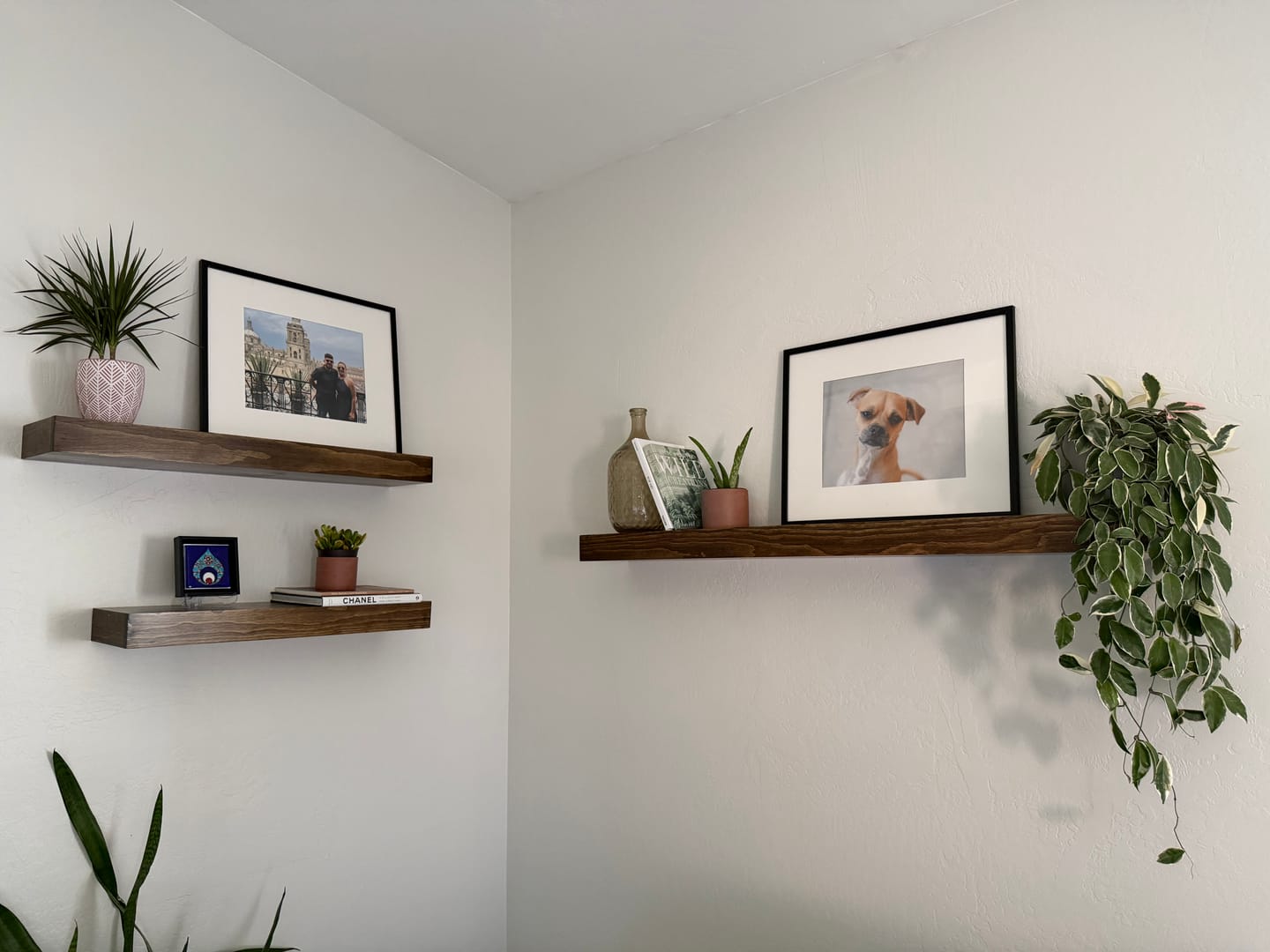 Customer photo review of Modern 3" Thick Floating Shelves
