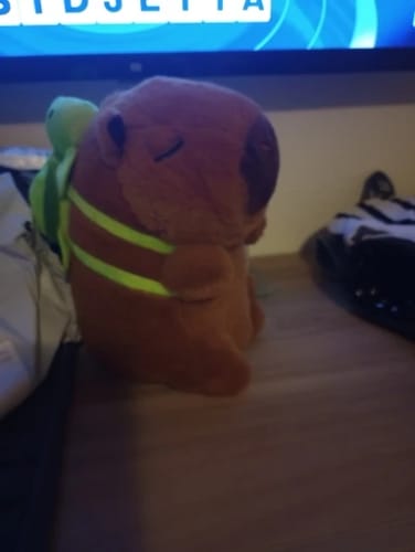 Customer photo review of Capybara Plush With Turtle Backpack