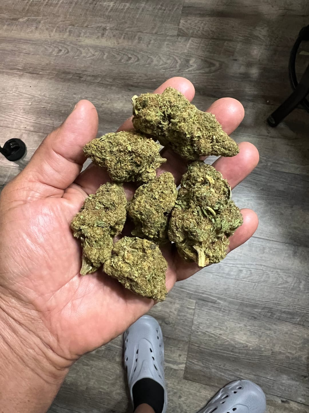 Customer photo review of Jungle Gelato - Bulk - Indica