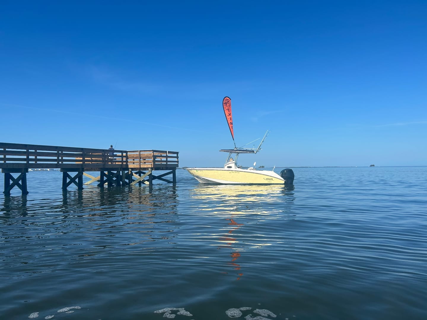 Customer photo review of Premium 12' Teardrop Flags