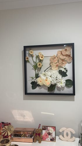 Customer photo review of Salmon Phalaenopsis Orchid