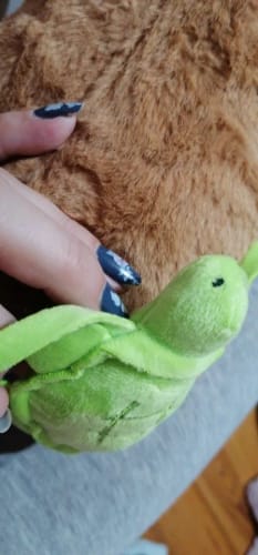 Customer photo review of Capybara Plush With Turtle Backpack