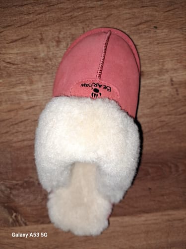 Customer photo review of BEARCOAT CLEANING KIT