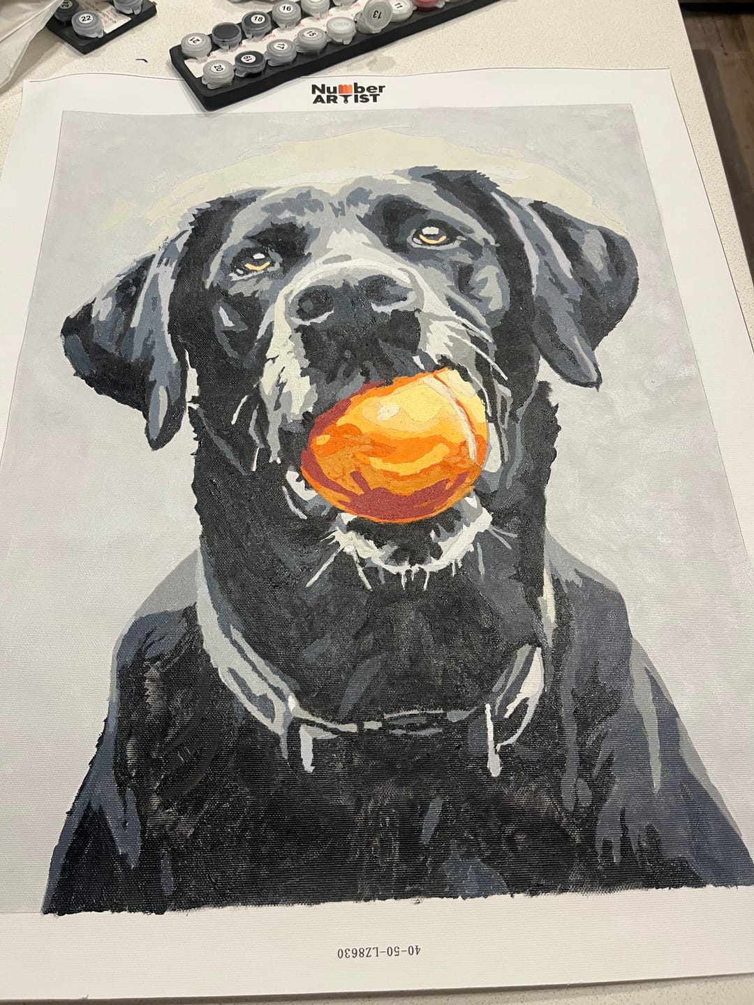 Customer photo review of Play Time